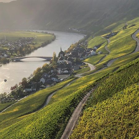 Weingut Lehnert-Spaeter بيزبورت المظهر الخارجي الصورة