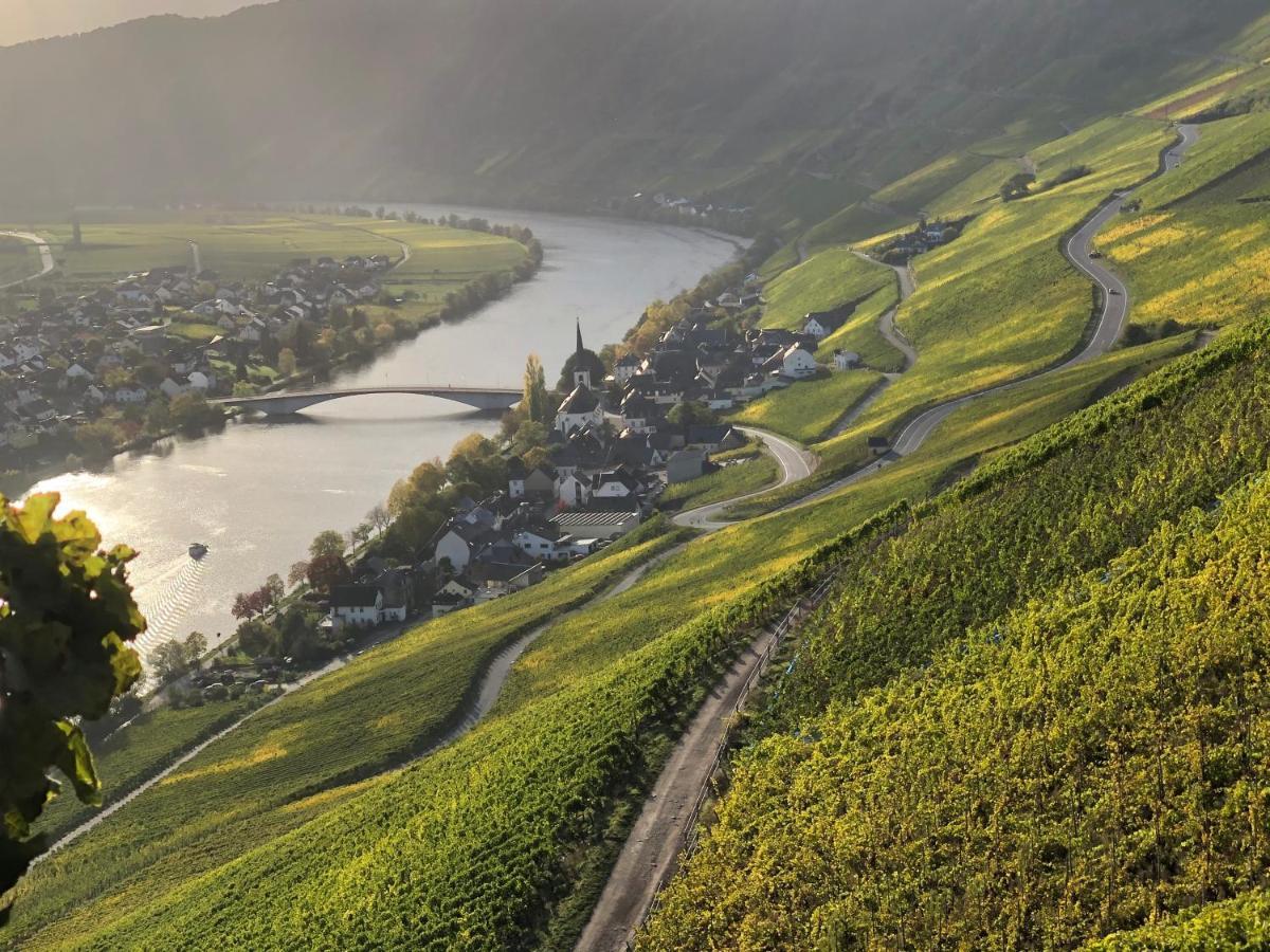 Weingut Lehnert-Spaeter بيزبورت المظهر الخارجي الصورة